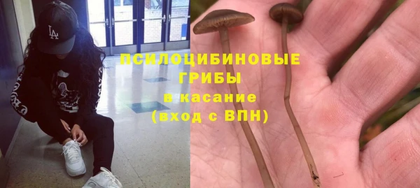 ECSTASY Беломорск